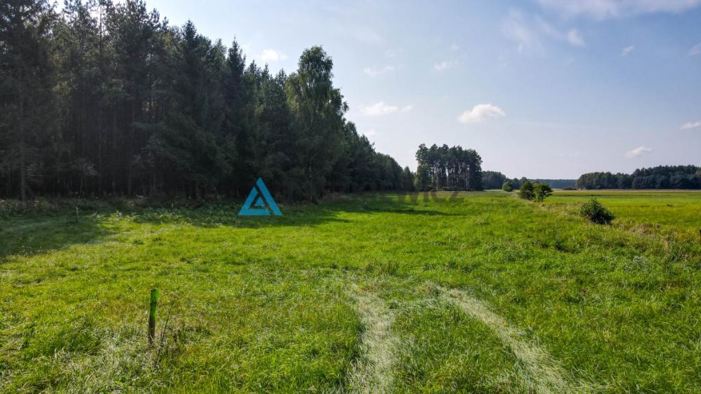 Działka OSÓWEK - zdjęcie 5