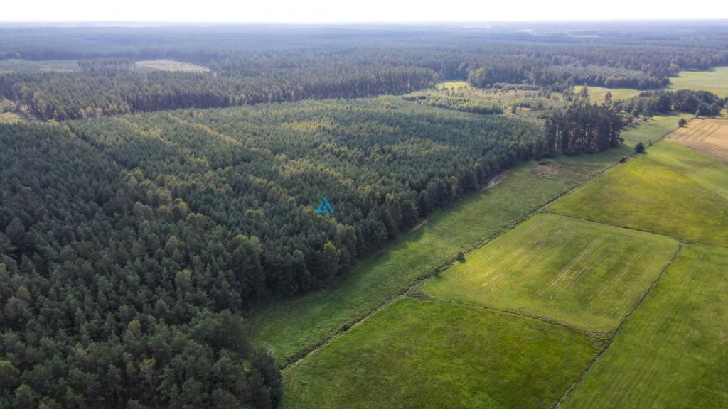 Działka OSÓWEK - zdjęcie 2