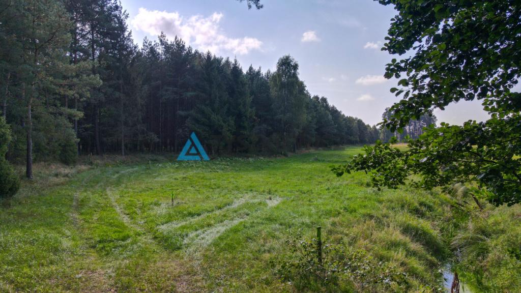 Działka OSÓWEK - zdjęcie 6