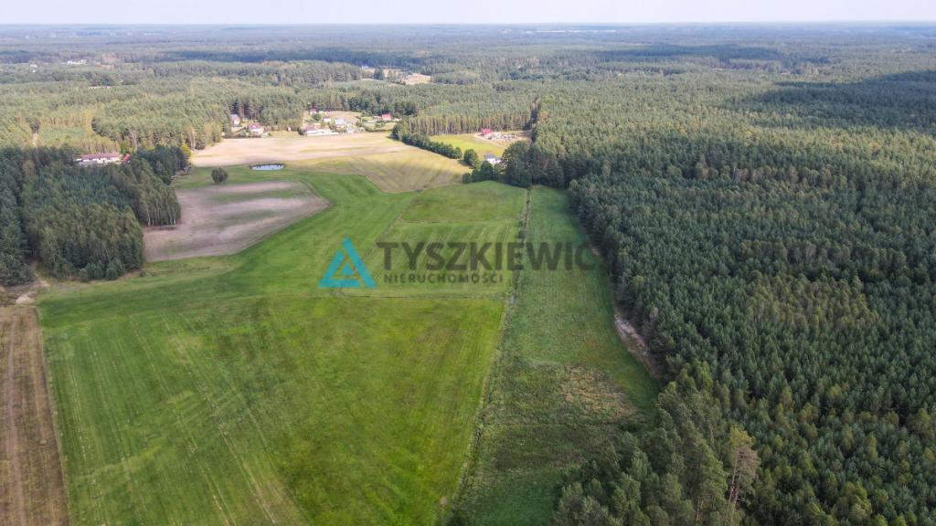 Działka OSÓWEK - zdjęcie 15