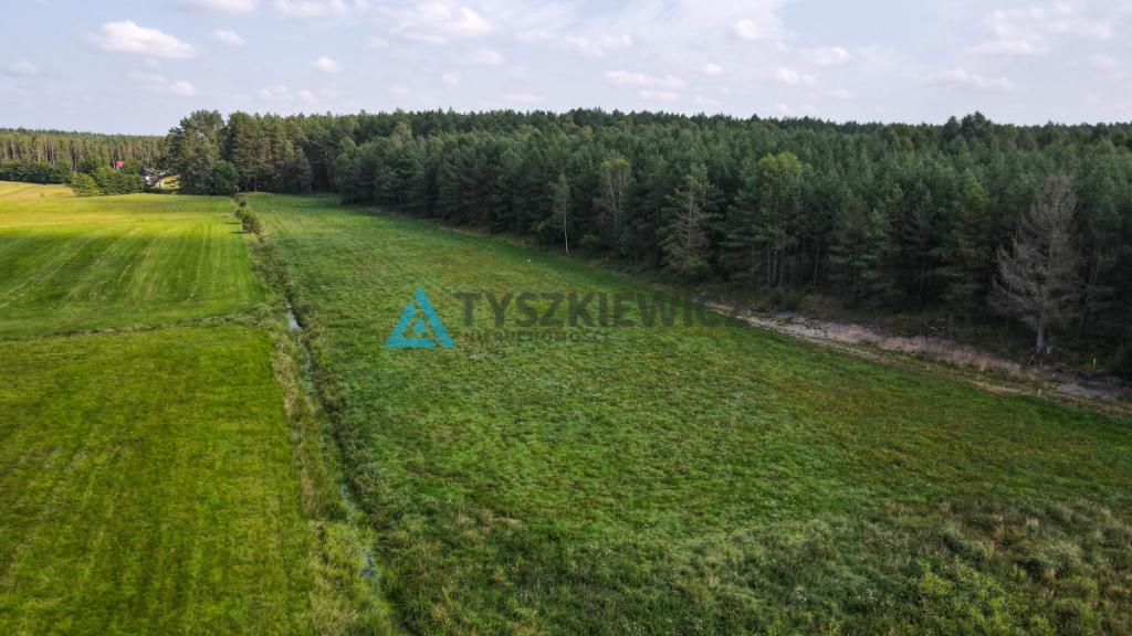 Działka OSÓWEK - zdjęcie 12
