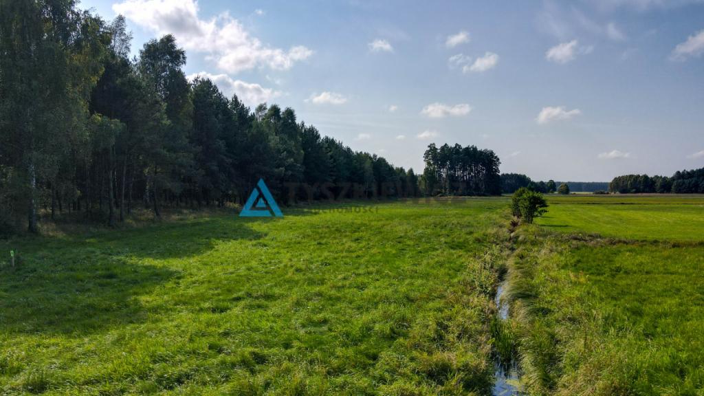Działka OSÓWEK - zdjęcie 8