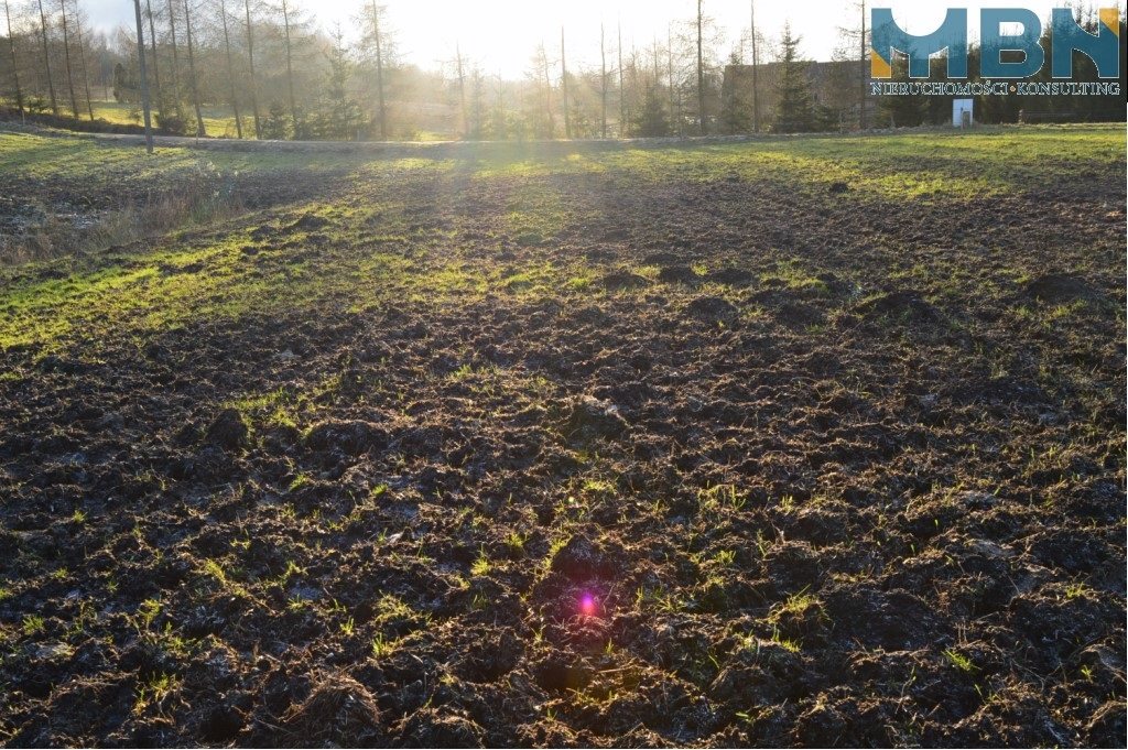 Działka budowlana 4258 m², Węgorzewo - zdjęcie 6