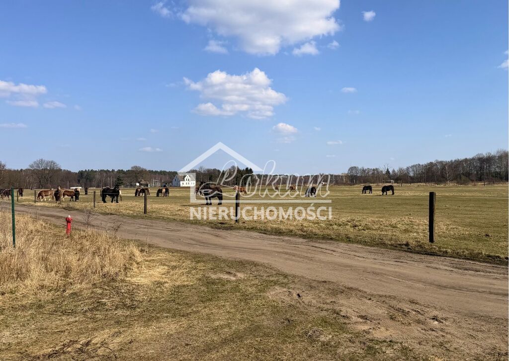 Działka budowlana 1506&nbsp;m², Białuń, Jarzębinowa - zdjęcie 7