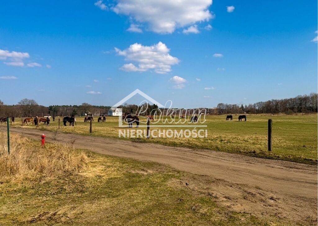 Działka budowlana 1506 m², Białuń, Jarzębinowa - zdjęcie 8