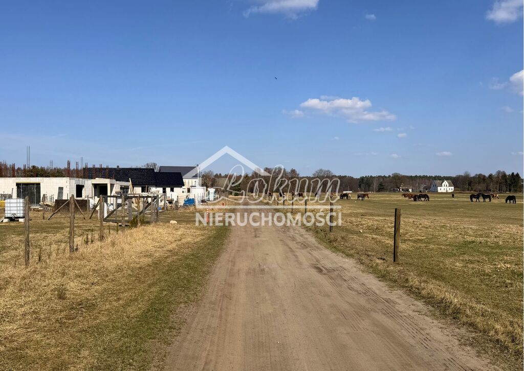 Działka budowlana 1506&nbsp;m², Białuń, Jarzębinowa - zdjęcie 6