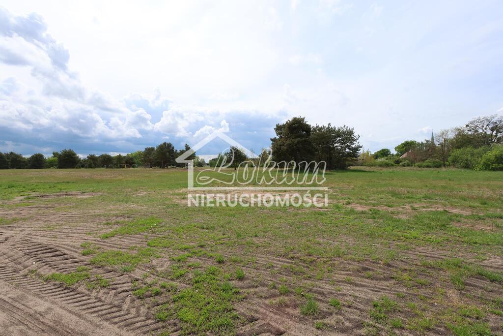 Działka budowlana 3917&nbsp;m², Borzysławiec - zdjęcie 5