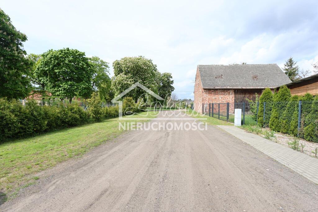 Działka budowlana 3917&nbsp;m², Borzysławiec - zdjęcie 4