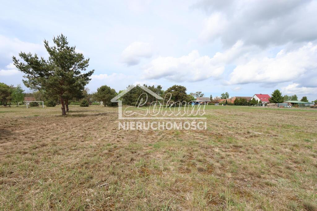 Działka budowlana 3917&nbsp;m², Borzysławiec - zdjęcie 8