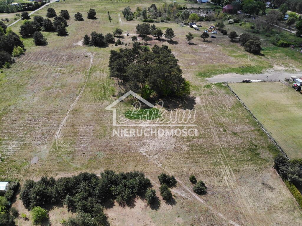 Działka budowlana 3917&nbsp;m², Borzysławiec - zdjęcie 2