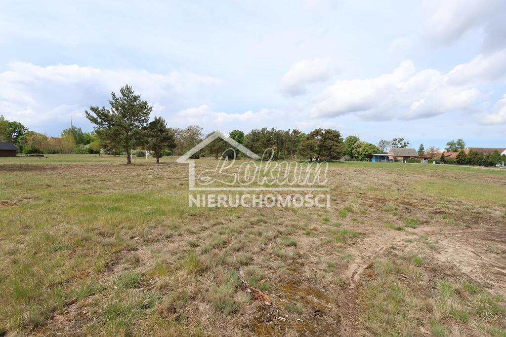 Działka budowlana 3917&nbsp;m², Borzysławiec - zdjęcie 7