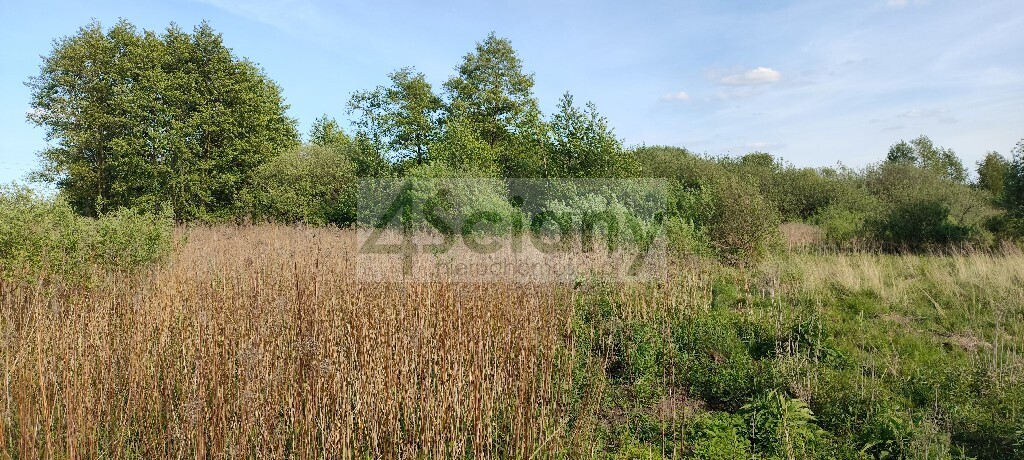 Działka budowlana 2191 m², Wolica - zdjęcie 3