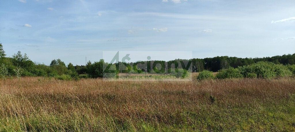 Działka budowlana 2191 m², Wolica - zdjęcie 5