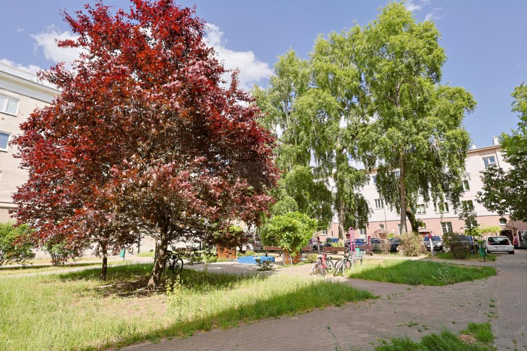 Bielany - dwa pokoje blisko metra - zdjęcie 21