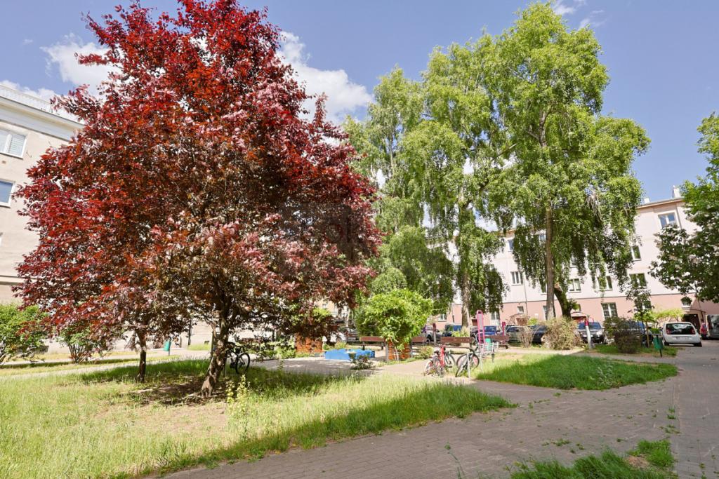 Bielany - dwa pokoje blisko metra - zdjęcie 21