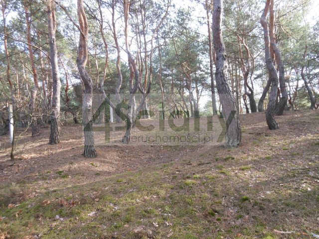 Działka budowlana 1705 m², Legionowo - zdjęcie 1