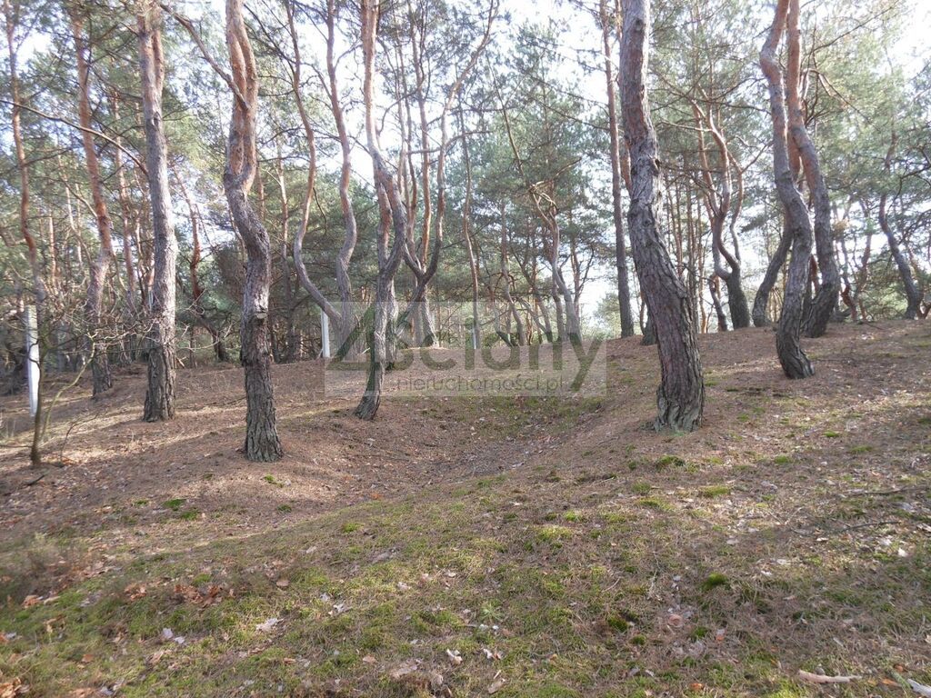 Działka budowlana 1705 m², Legionowo - zdjęcie 2