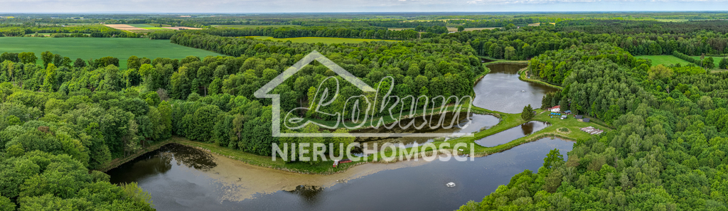 Działka gospodarstwo 9,56 ha, Wisławie - zdjęcie 2