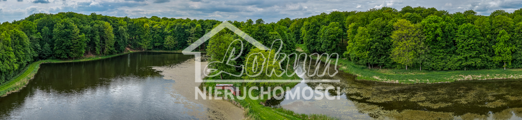 Działka gospodarstwo 9,56 ha, Wisławie - zdjęcie 4