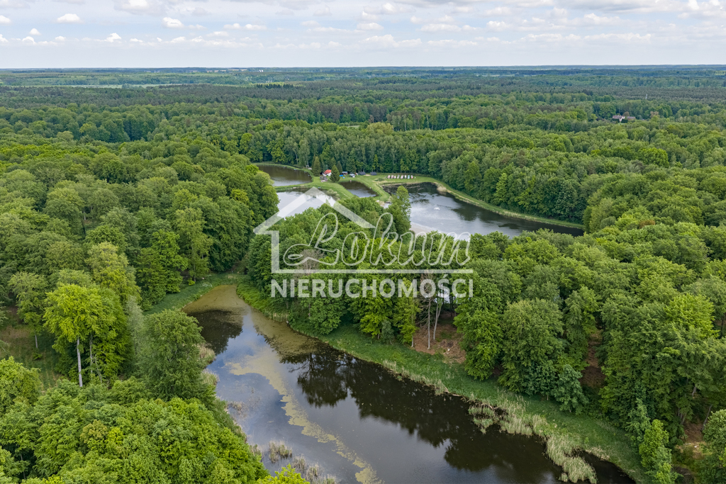 Działka gospodarstwo 9,56 ha, Wisławie - zdjęcie 6