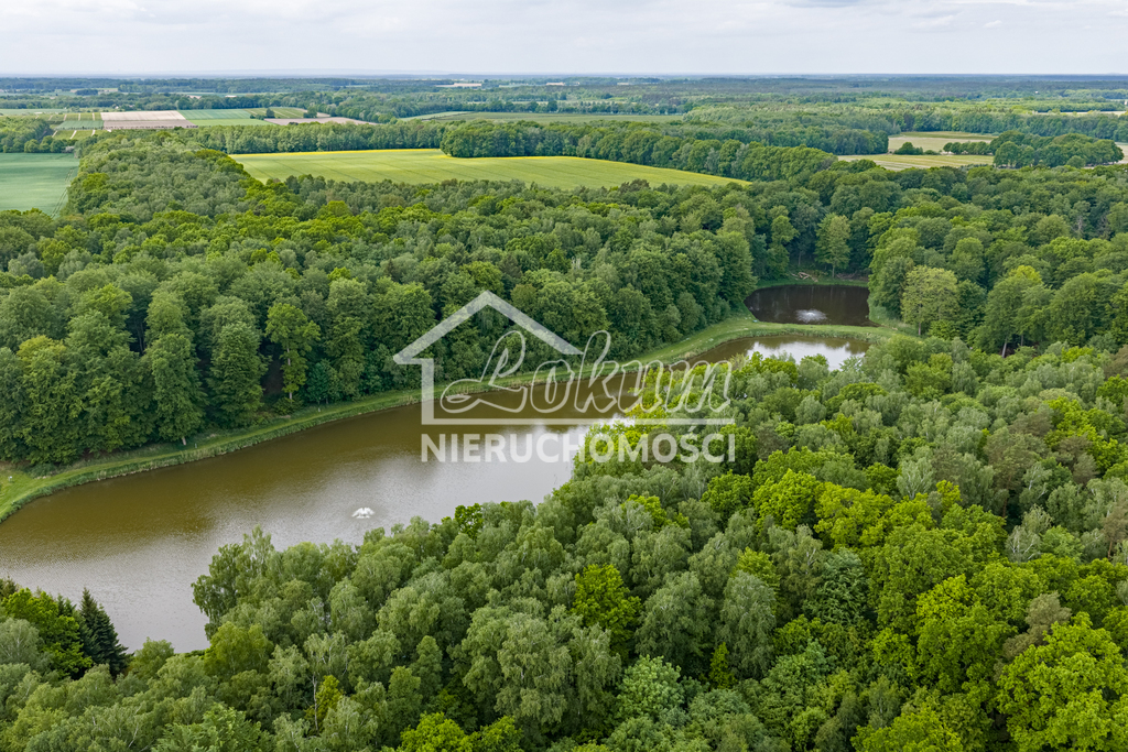 Działka gospodarstwo 9,56 ha, Wisławie - zdjęcie 9