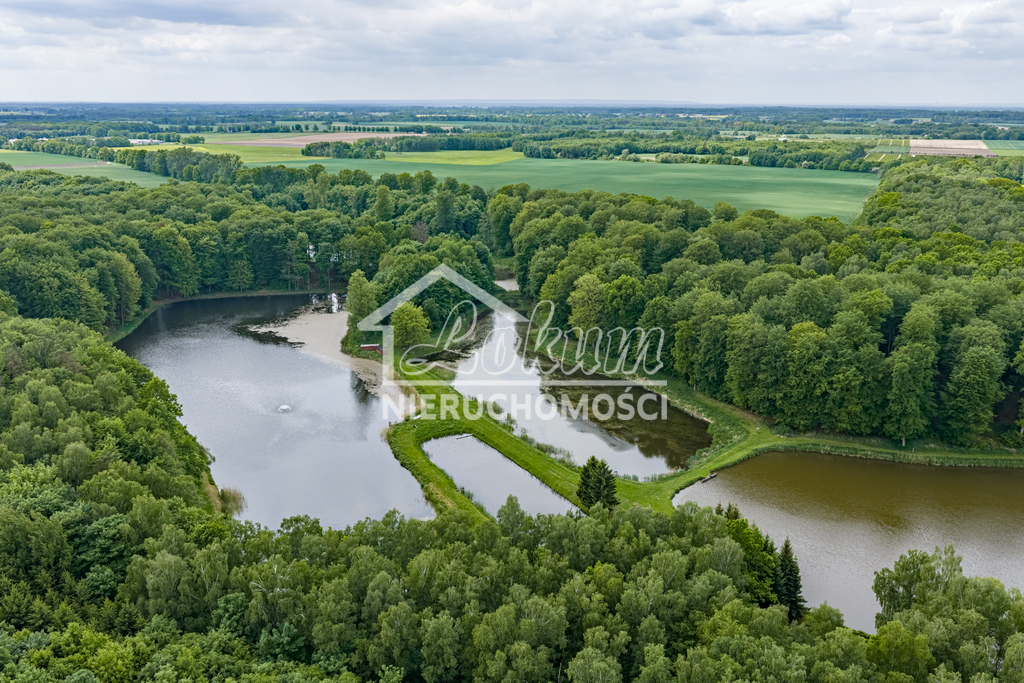 Działka gospodarstwo 9,56 ha, Wisławie - zdjęcie 10