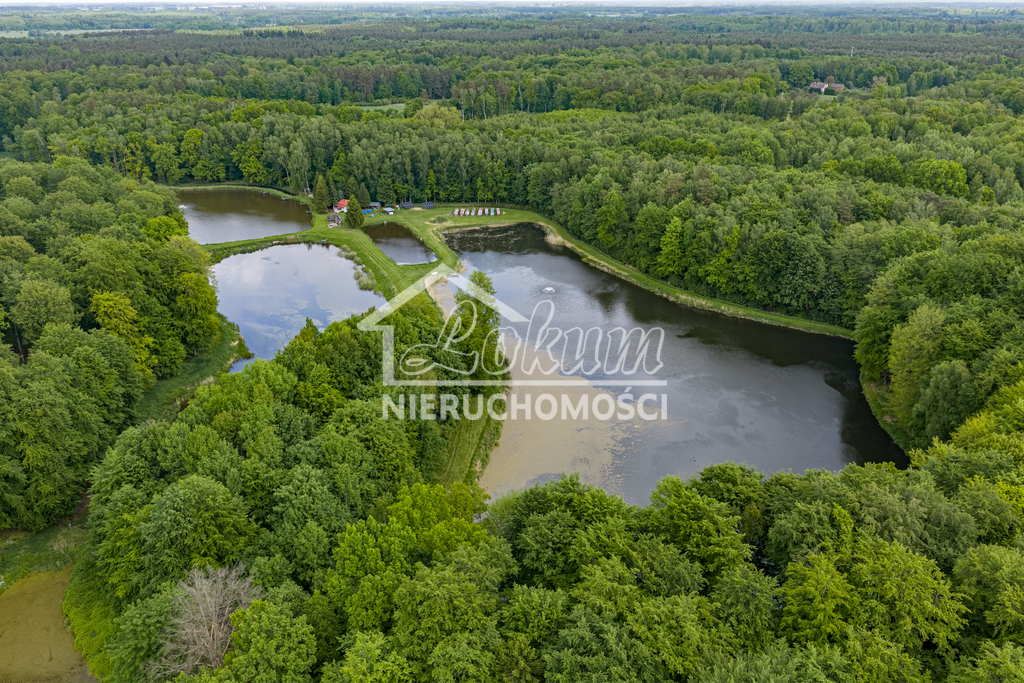 Działka gospodarstwo 9,56 ha, Wisławie - zdjęcie 7