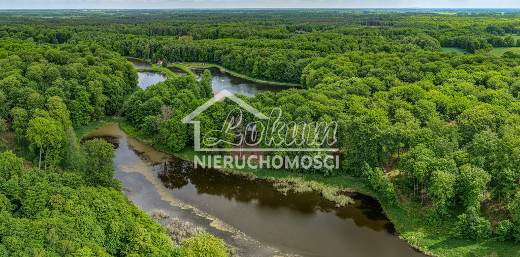 Działka gospodarstwo 9,56 ha, Wisławie - zdjęcie 3