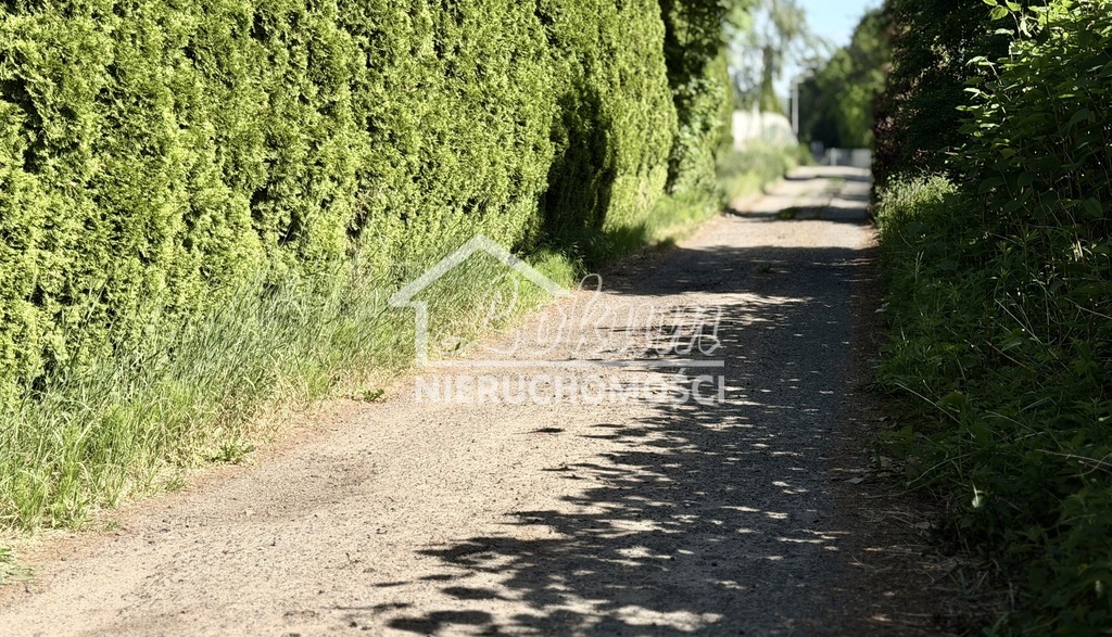 Działka budowlana 900&nbsp;m², Dobra - zdjęcie 2