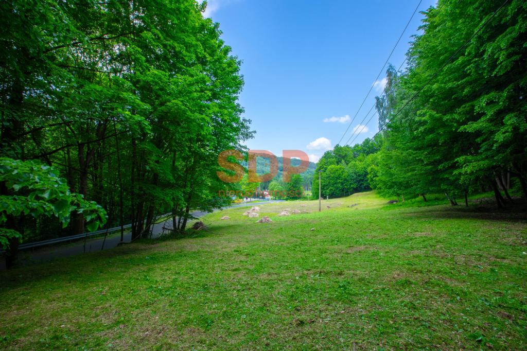Działka rolna 2755 m², Zagórze Śląskie, Wodna - zdjęcie 6