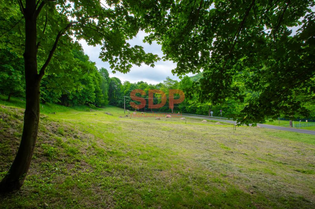 Działka rolna 2300 m², Zagórze Śląskie, Wodna - zdjęcie 1