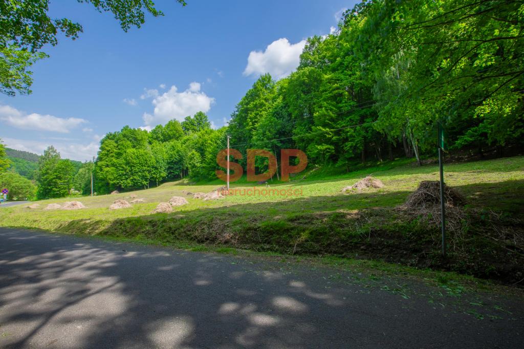 Działka budowlana 1842 m², Zagórze Śląskie, Wodna - zdjęcie 5