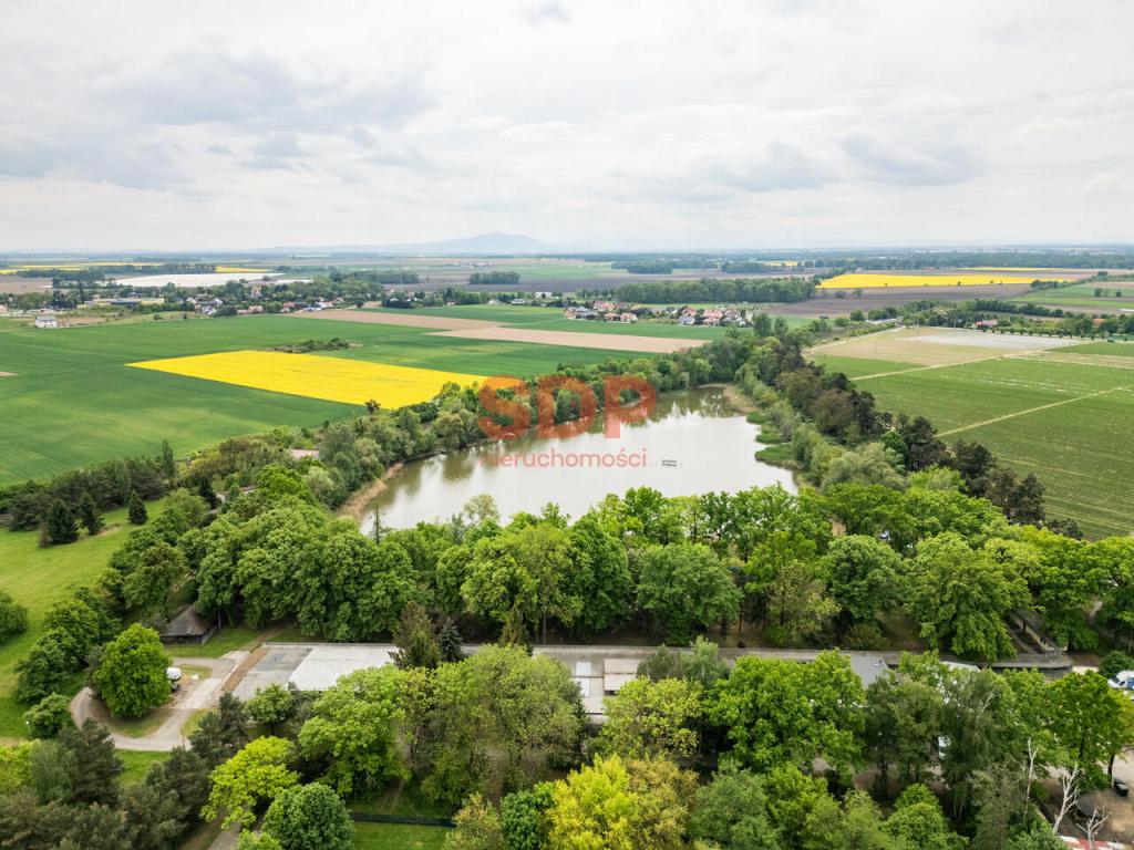 Działka rekreacyjna 6,85 ha, Sadków, Letniskowa - zdjęcie 9