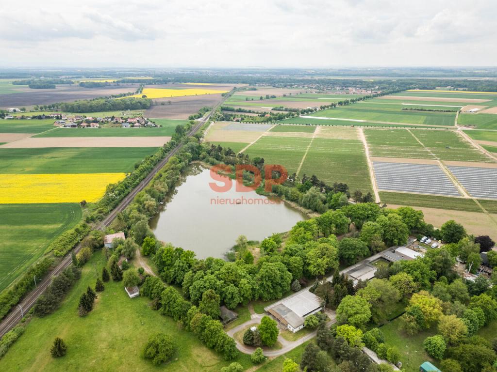 Działka rekreacyjna 6,85 ha, Sadków, Letniskowa - zdjęcie 10