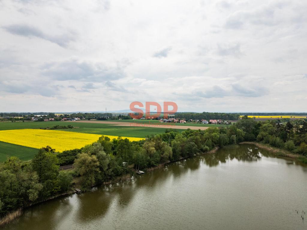 Działka rekreacyjna 6,85 ha, Sadków, Letniskowa - zdjęcie 8