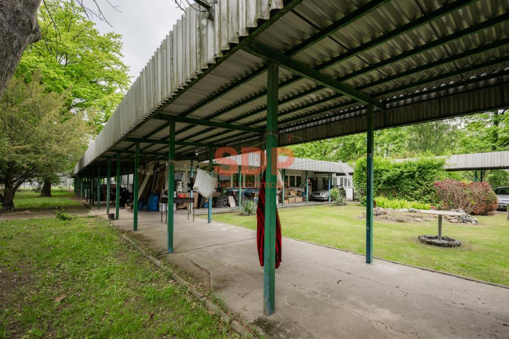 Działka rekreacyjna 6,85 ha, Sadków, Letniskowa - zdjęcie 7