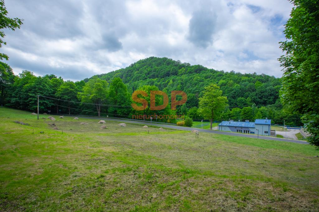 Działka budowlana 765 m², Zagórze Śląskie, Wodna - zdjęcie 7