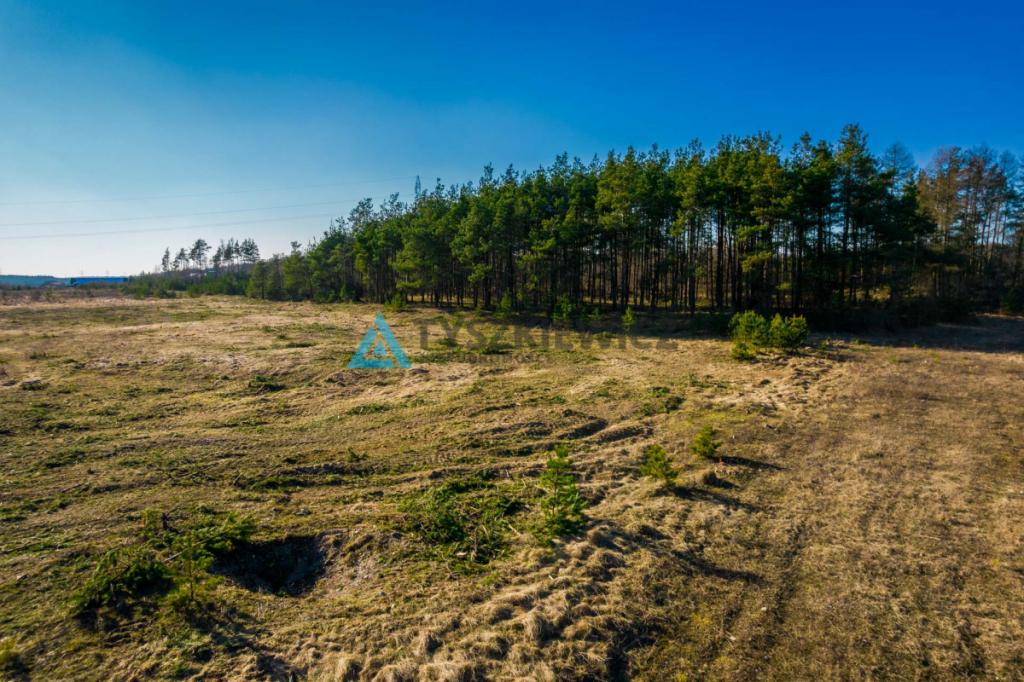 Piękna działka granicząca z lasem w Stężycy - zdjęcie 2