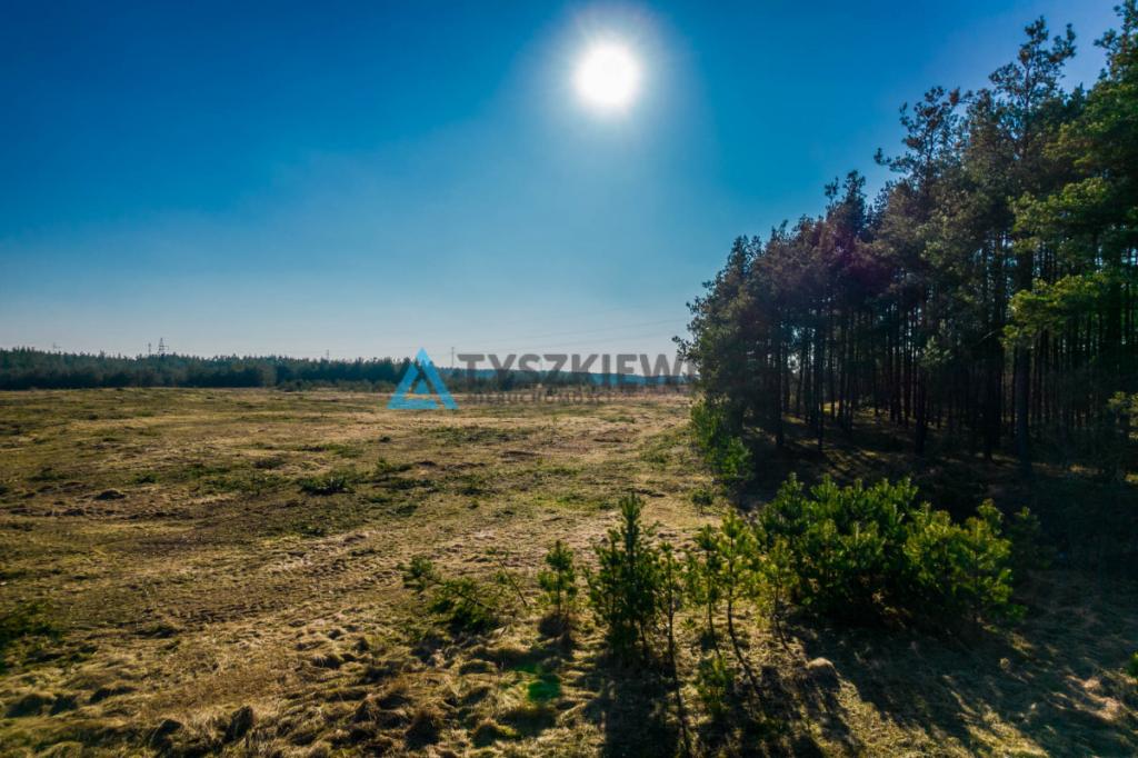 Piękna działka granicząca z lasem w Stężycy - zdjęcie 13