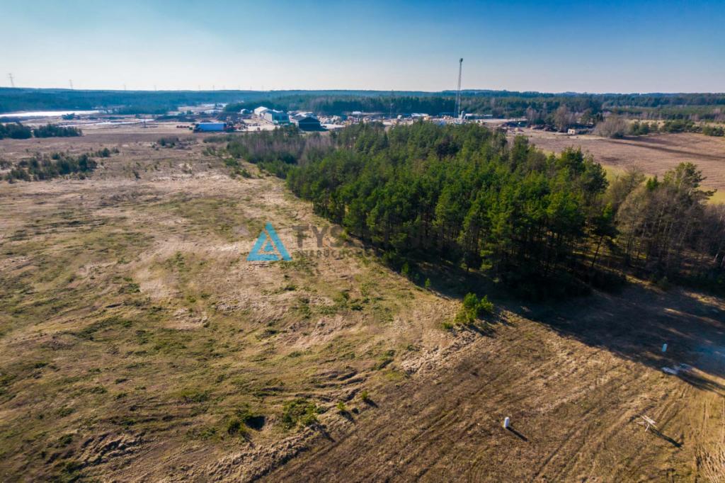 Piękna działka granicząca z lasem w Stężycy - zdjęcie 12