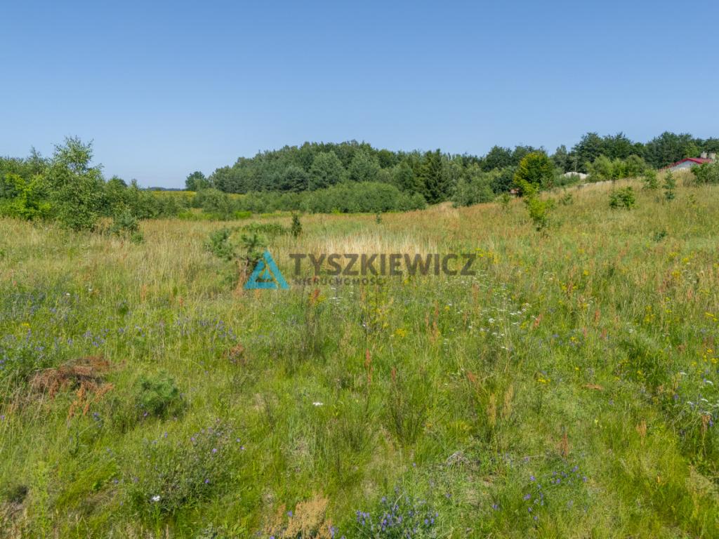 Działka o przeznaczeniu mieszkaniowo-usługowym - zdjęcie 3
