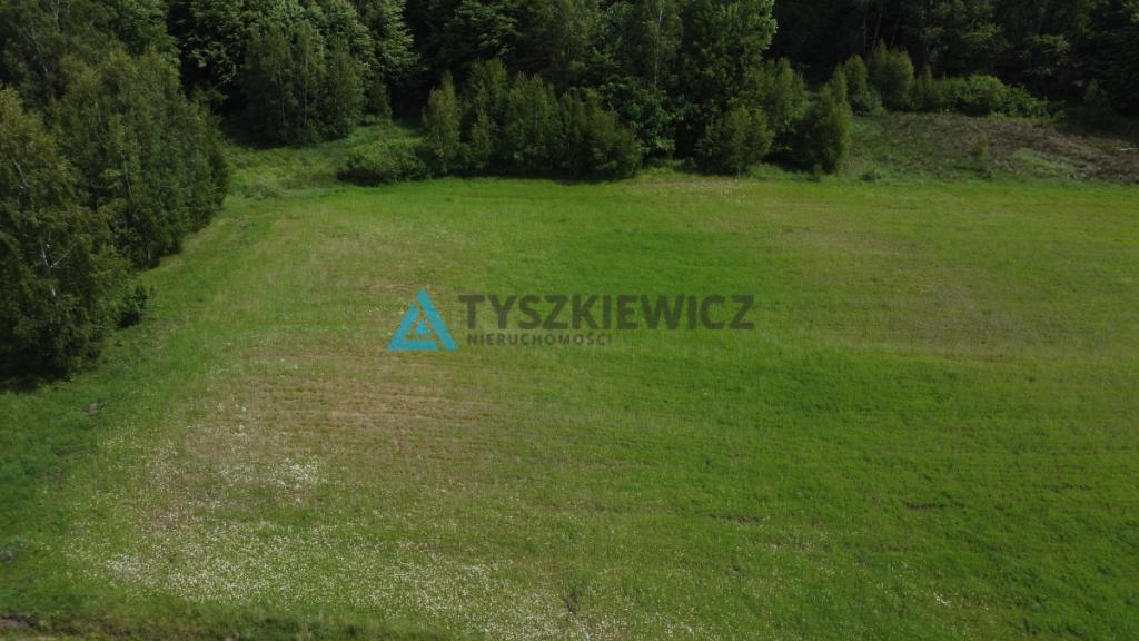 Działki siedliskowe na Kaszubach - zdjęcie 14