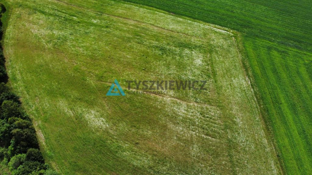 Działki siedliskowe na Kaszubach - zdjęcie 12