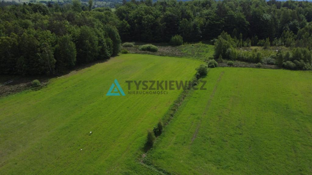 Działki siedliskowe na Kaszubach - zdjęcie 11