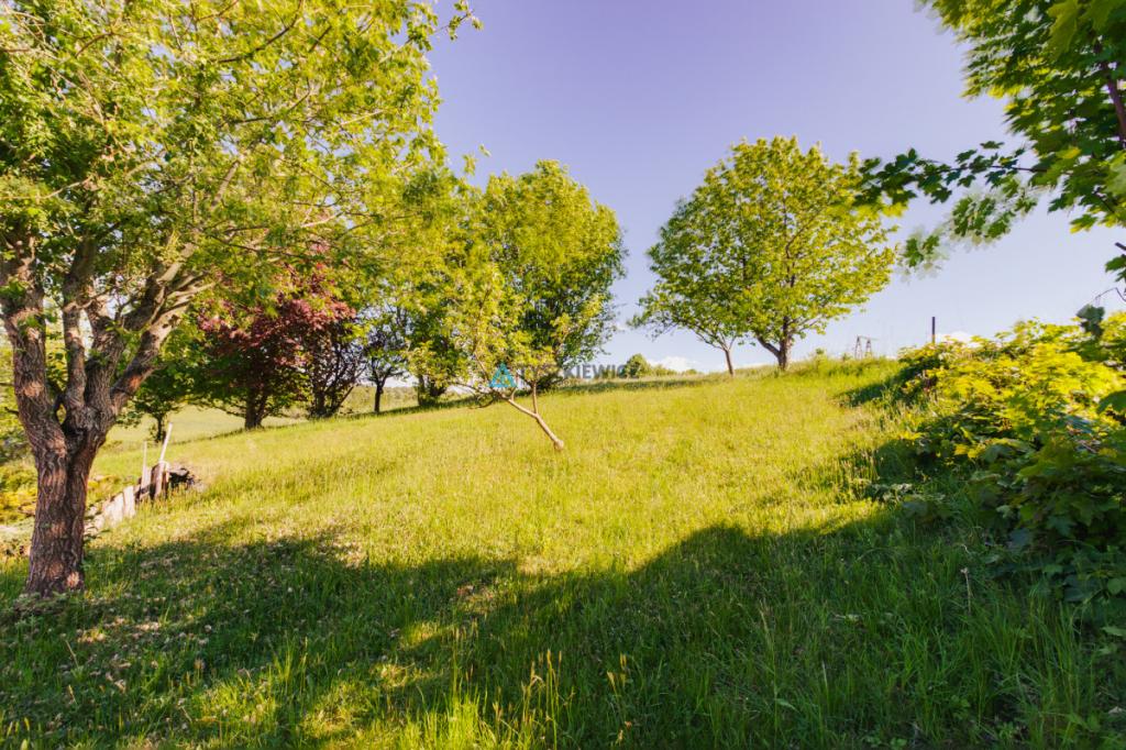 Działka budowlana w okolicy Stężycy - zdjęcie 15