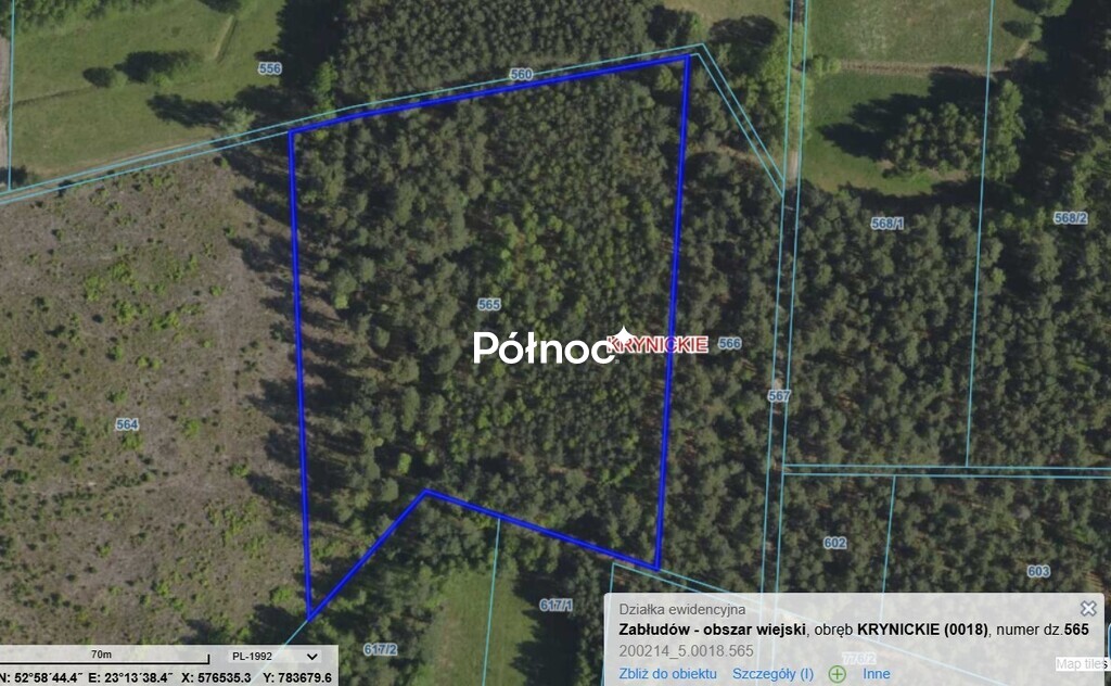 Działka rolna 1,88&nbsp;ha, Krynickie - zdjęcie 4