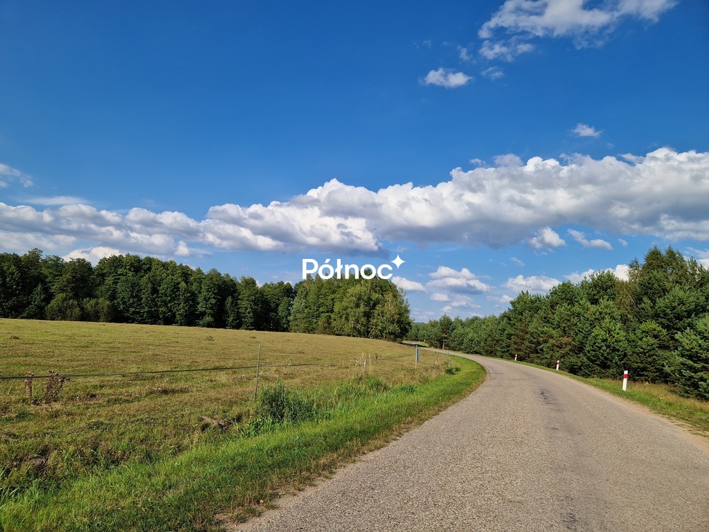 Działka rolna 1,88&nbsp;ha, Krynickie - zdjęcie 2