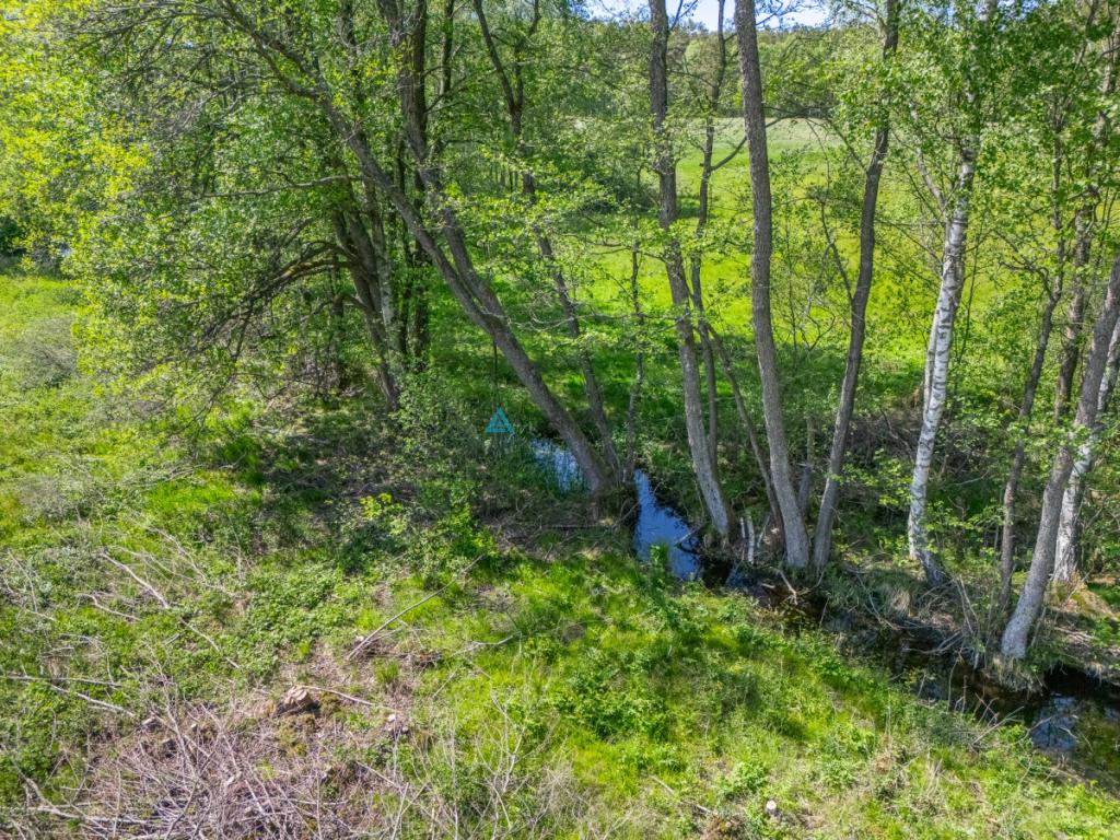 Malownicza działka rekreacyjna w Kłącznie - zdjęcie 25