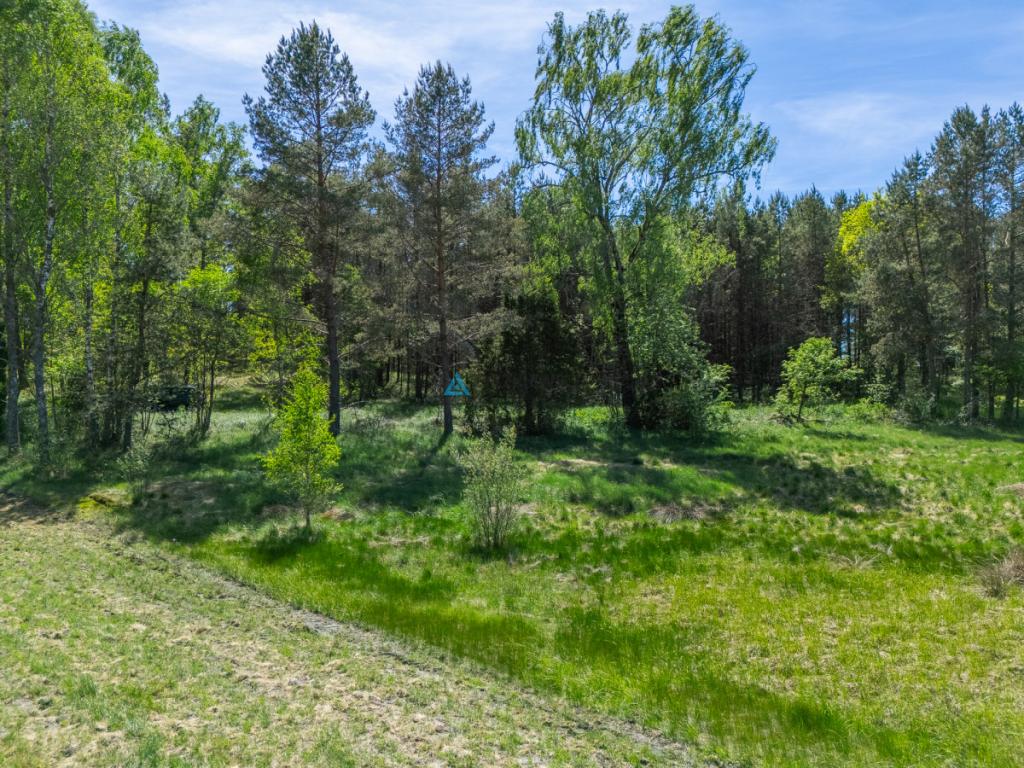 Malownicza działka rekreacyjna w Kłącznie - zdjęcie 19
