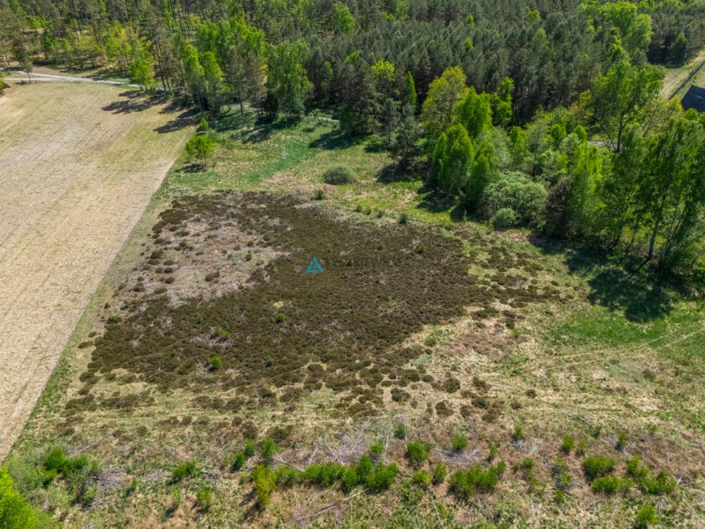 Malownicza działka rekreacyjna w Kłącznie - zdjęcie 17